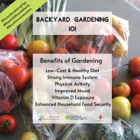 Benefits of Gardening BYG 1